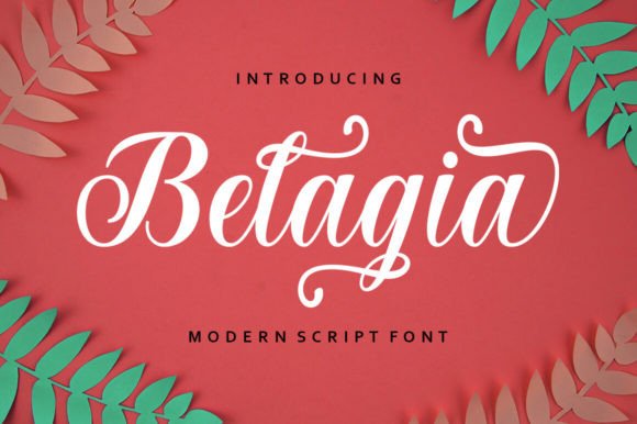 Belagia: Elevating Your Designs with Natural Elegance