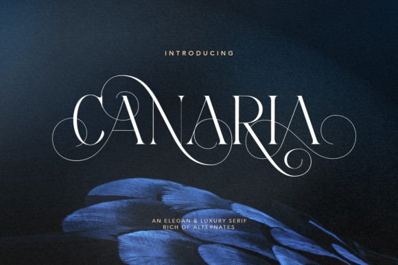 Canaria: Elevating Typography with a Luxurious All-Caps Serif
